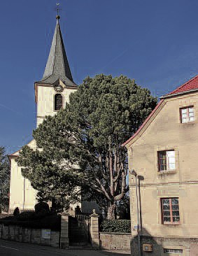 Ansicht von Bauerbach