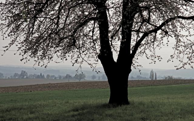 Landschaft bei Gölshausen Landschaft bei Gölshausen