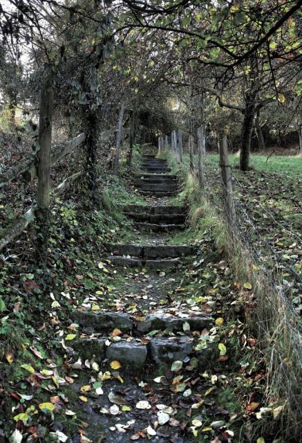 Impressionen aus Rinklingen Impressionen aus Rinklingen