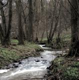 Impressionen aus Ruit