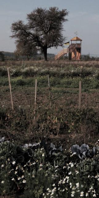 Impressionen aus Ruit Impressionen aus Ruit