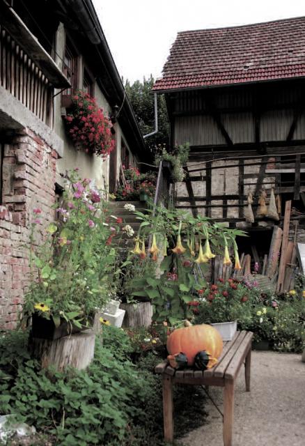 Impressionen aus Sprantal Impressionen aus Sprantal