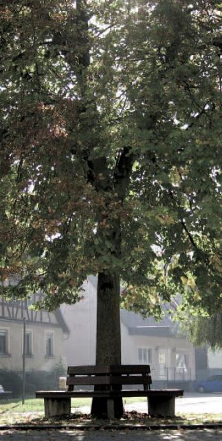 Impressionen aus Sprantal Impressionen aus Sprantal