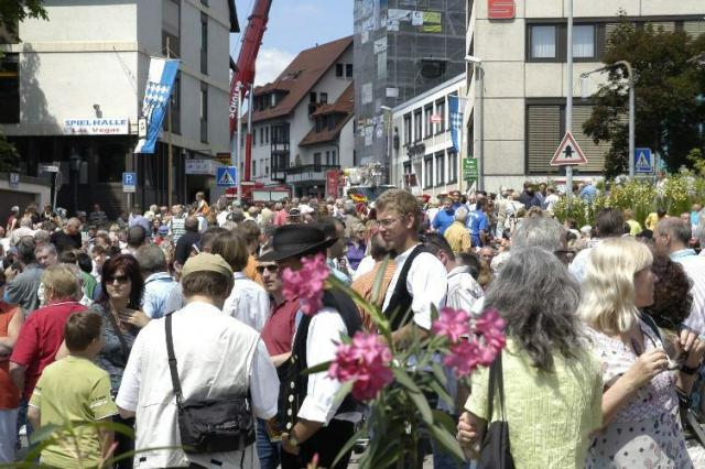 Wiederbedachung-Pfeiferturm-038