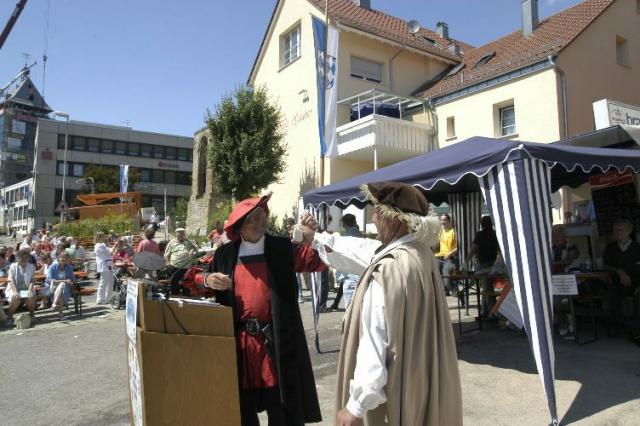 Wiederbedachung-Pfeiferturm-046