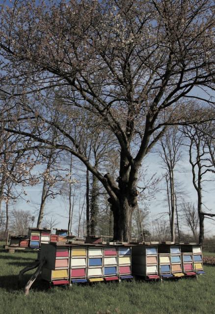 Landschaft bei Dürrenbüchig Landschaft bei Dürrenbüchig