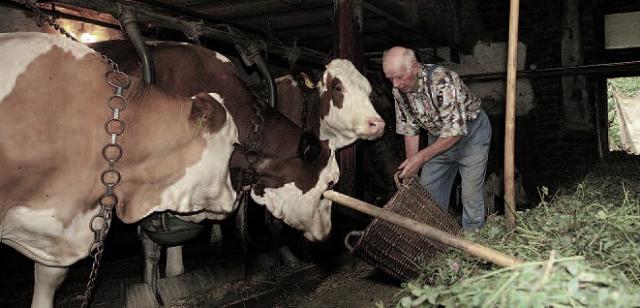 Bauernhof in Dürrenbüchig Bauernhof in Dürrenbüchig