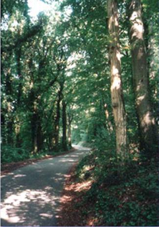 Wanderweg bei Ruit Wanderweg bei Ruit