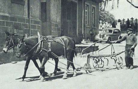 Altes Bild aus Dürrenbüchig